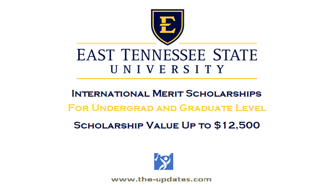 International Merit Scholarship for Graduate and Undergraduate USA 2021-2022