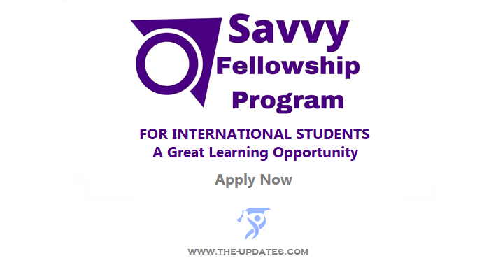 Savvy Global Fellowship for Aspiring and Early-Stage Entrepreneurs 2022