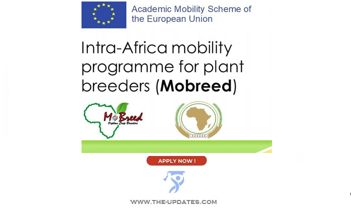 Intra-Africa Mobility Scholarships in Africa 2022