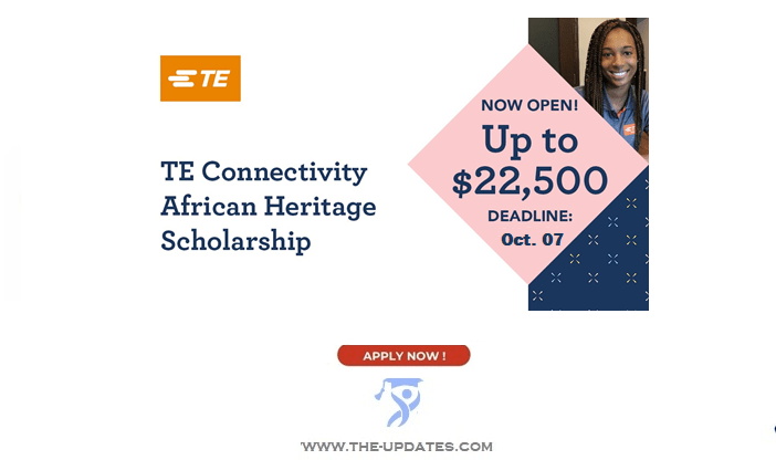 African Heritage Scholarship Program by TE Connectivity 2023