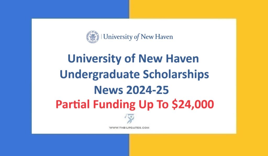 University of New Haven Undergraduate Scholarships News 2024-25